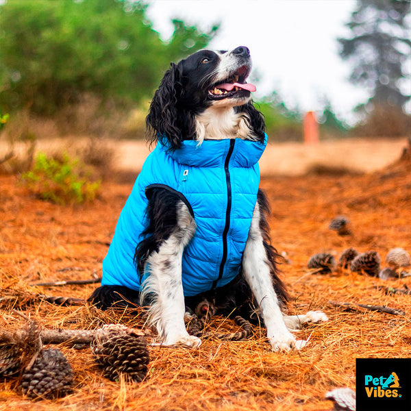 Chaqueta Perro AiryVest Azul/Negro – Pet Vibes