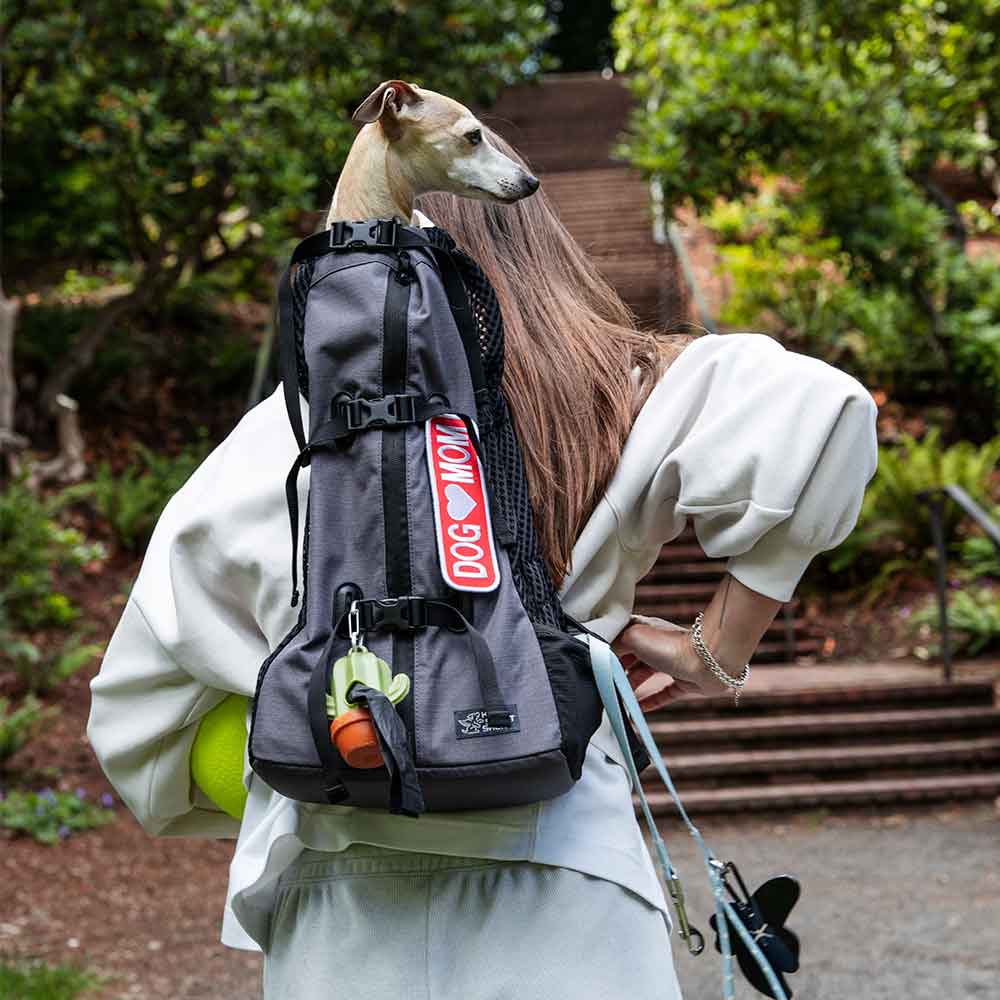 Nueva Air 2026 Grafito / Mochila Transportadora