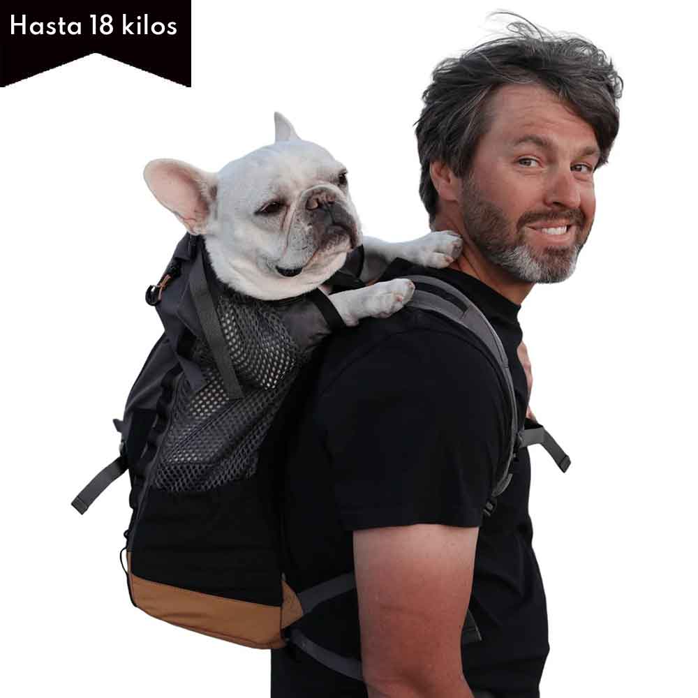 Nueva Kompanion/ Mochila Transportadora más acolchada