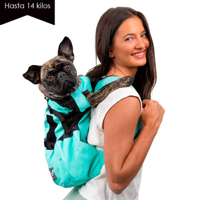 Air 2 Menta/ Mochila Transportadora