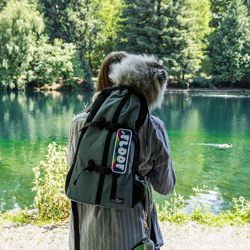 Nueva Air 2026 Grafito / Mochila Transportadora