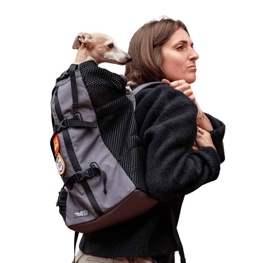 Nueva Air 2026 Grafito / Mochila Transportadora