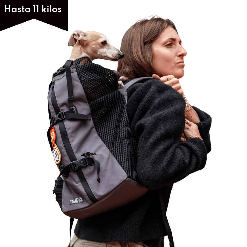 Nueva Air 2026 Grafito / Mochila Transportadora