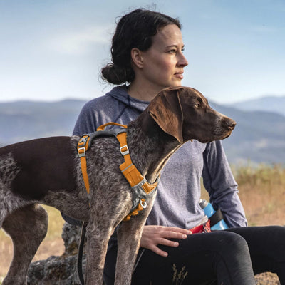 Arnés Journey Air Naranjo