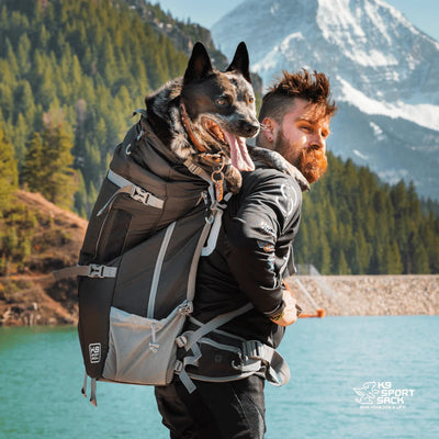 Kolossus Negra/ Mochila  perros grandes y mochila para mochileros