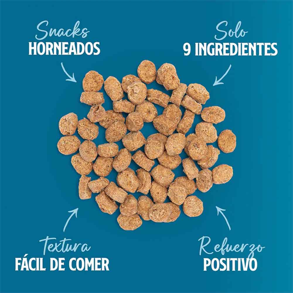 Snack Adiestramiento