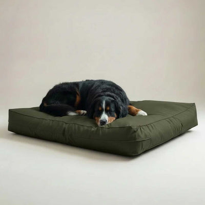 Cama Origen Impermeable Oliva