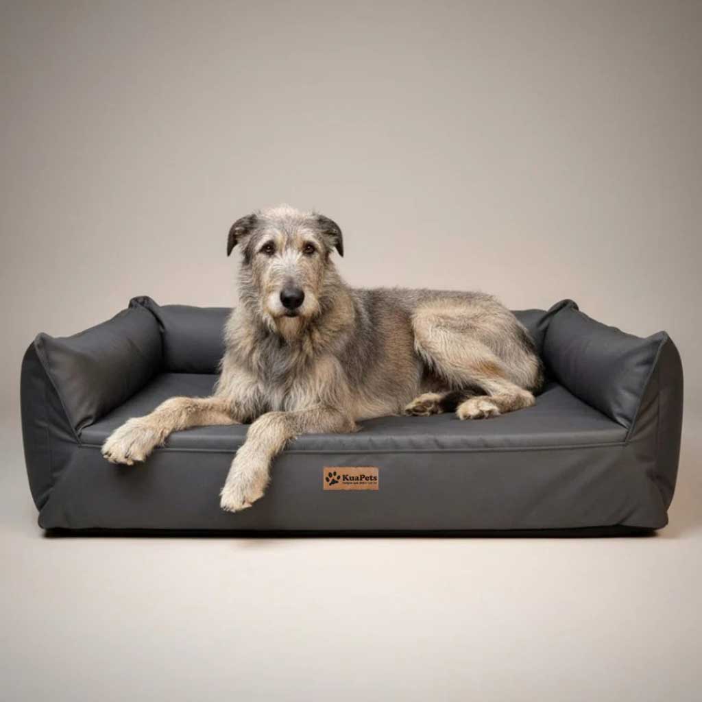 Cama Nido Ortopédica Perros Grandes, Gris Oscuro