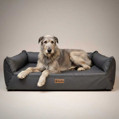 Cama Nido Ortopédica Perros Grandes, Gris Oscuro
