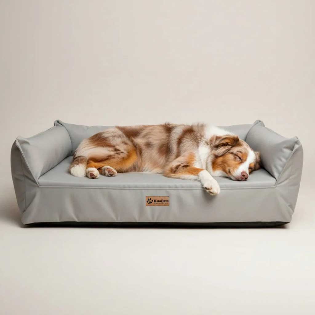 Cama Nido Ortopédica Perros Grandes, Gris