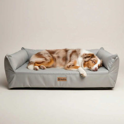 Cama Nido Ortopédica Perros Grandes, Gris