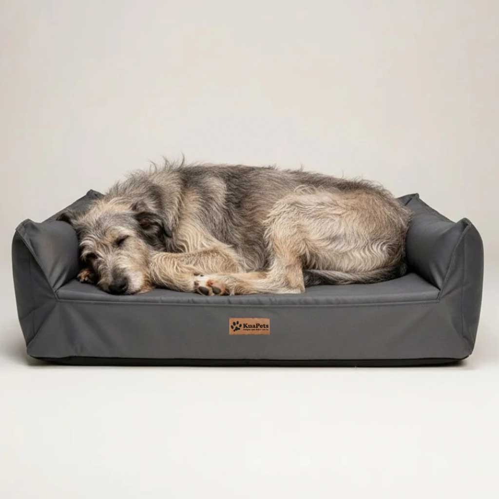 Cama Nido Ortopédica Perros Grandes, Gris Oscuro