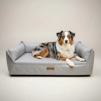 Cama Nido Ortopédica Perros Grandes, Gris