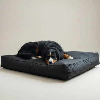 Cama Origen Impermeable Negra