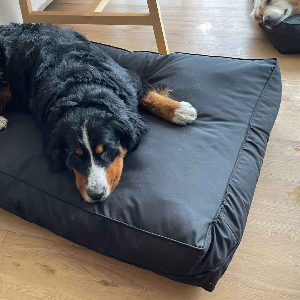 Cama Origen Impermeable Negra