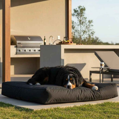 Cama Origen Impermeable Negra