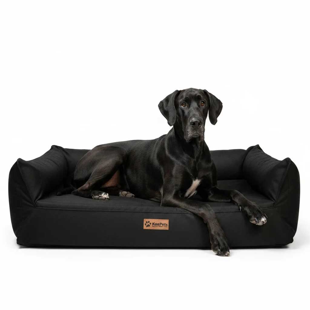 Cama Nido Ortopédica Perros Grandes, Negra