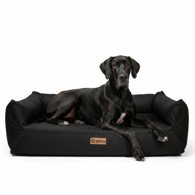 Cama Nido Ortopédica Perros Grandes, Negra