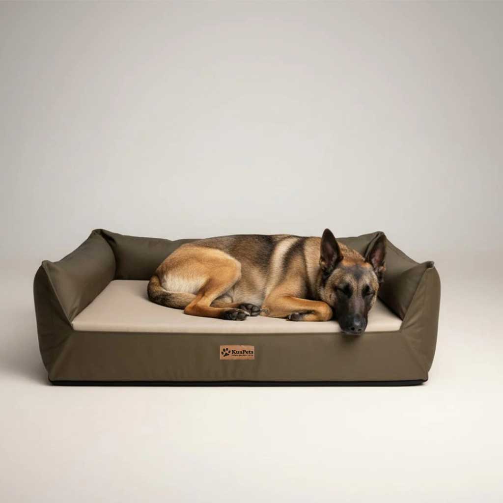 Cama Nido Ortopédica Perros Grandes, Oliva