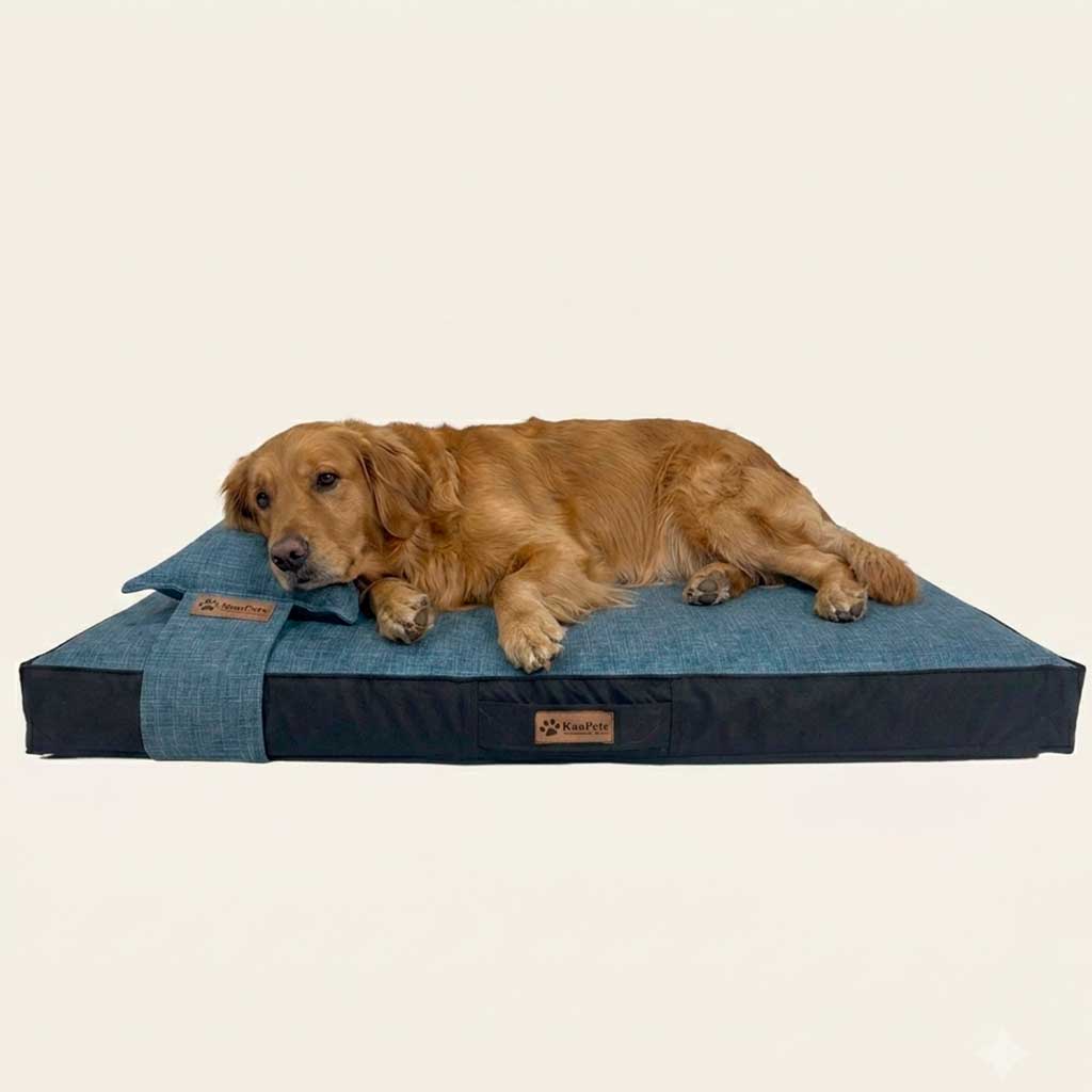 Cama Ortopédica , Azul jeans-negro