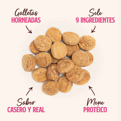 Galletas Caseras Cerdo/Zapallo