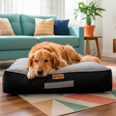 Cama Origen Gris Jaspeado- Negro