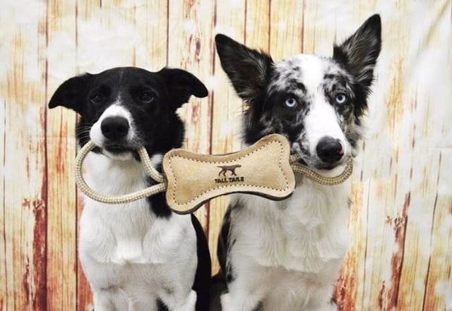 Hueso de Cuero con Cuerda