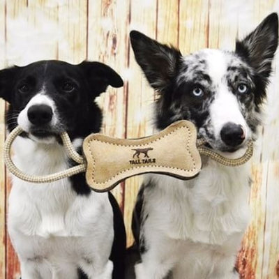 Hueso de Cuero con Cuerda