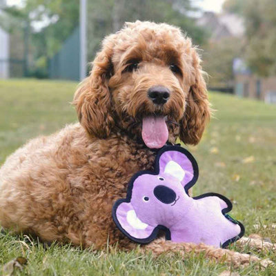 Peluche Koala