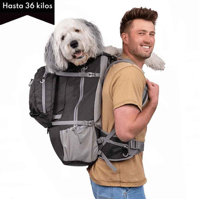 Kolossus Negra/ Mochila  perros grandes y mochila para mochileros
