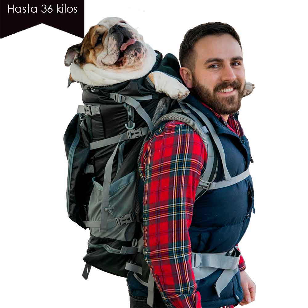 Kolossus Negra/ Mochila  perros grandes y mochila para mochileros