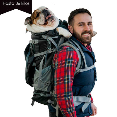 Kolossus Negra/ Mochila  perros grandes y mochila para mochileros