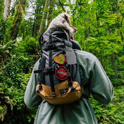 Nueva Kompanion/ Mochila Transportadora más acolchada