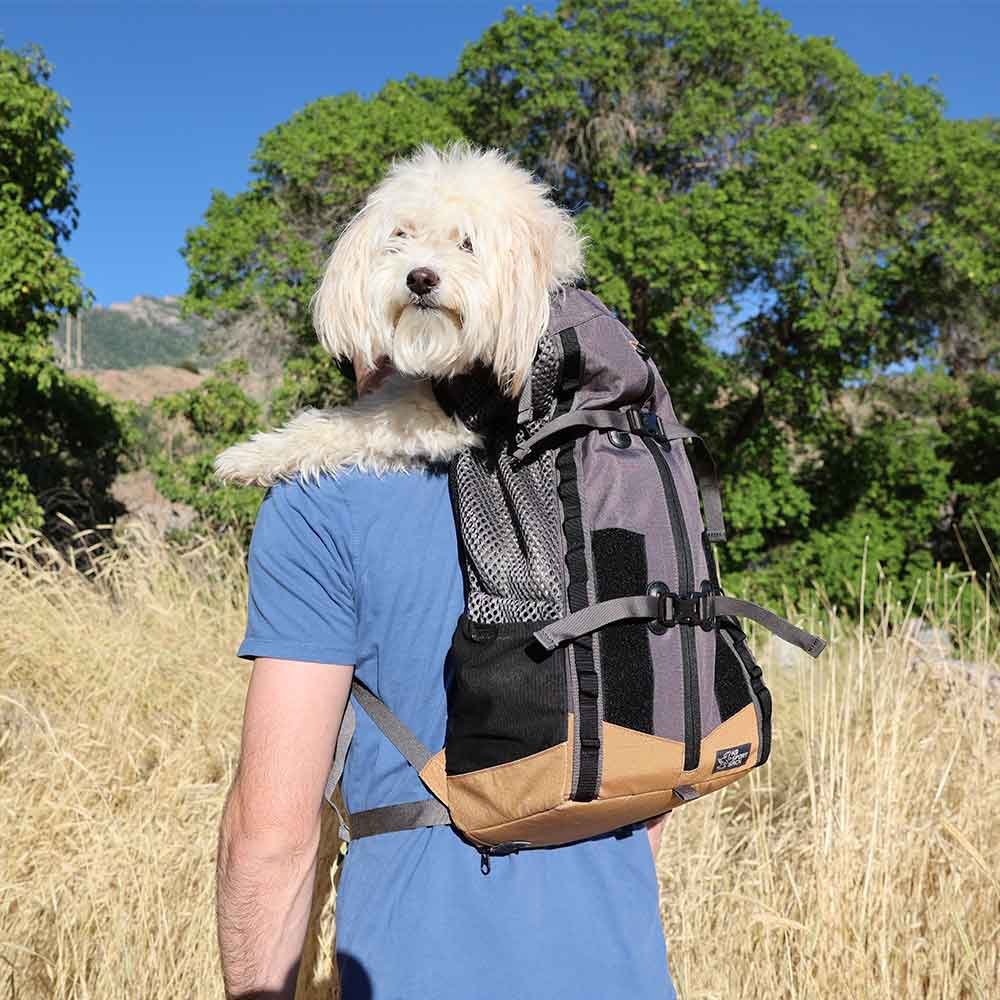 Nueva Kompanion/ Mochila Transportadora más acolchada