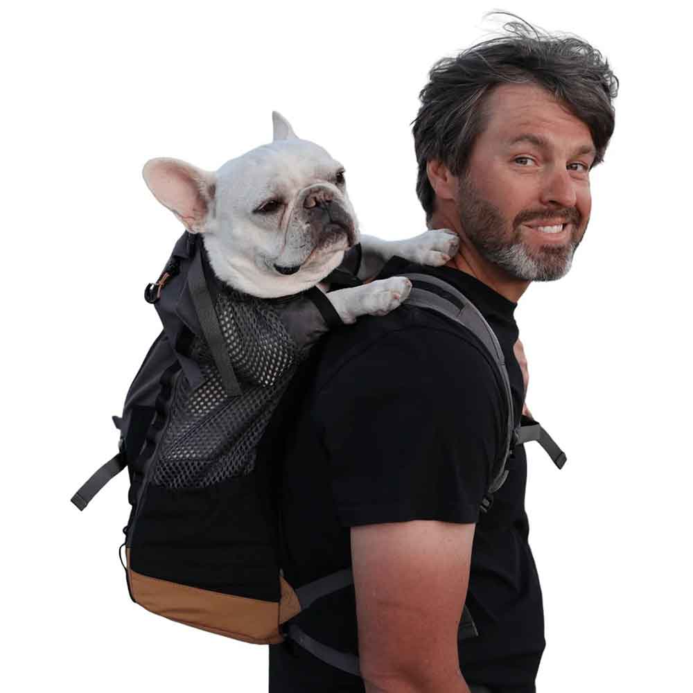 Nueva Kompanion/ Mochila Transportadora más acolchada