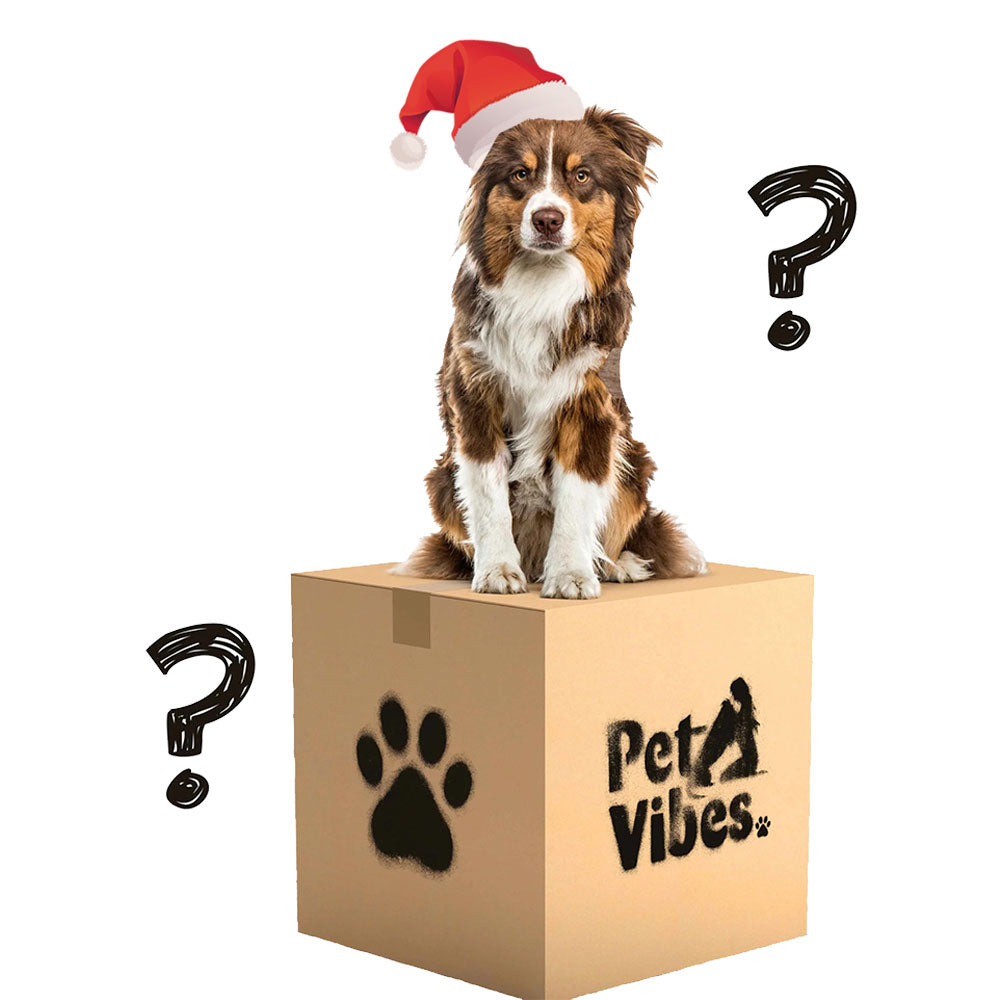 Mistery Box Noviembre Estándard