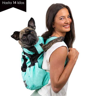 Air 2 Menta/ Mochila Transportadora