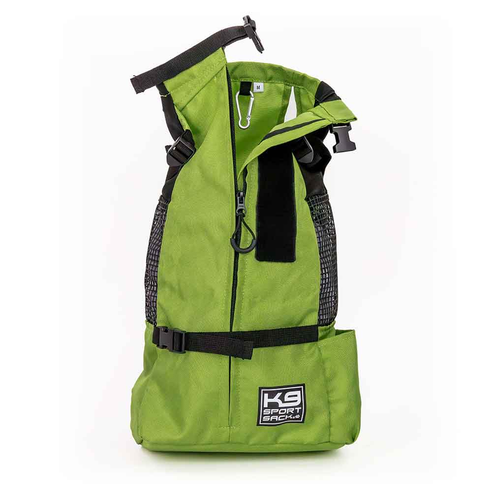 Trainer Verde/ Cahorros y Perros Pequeños
