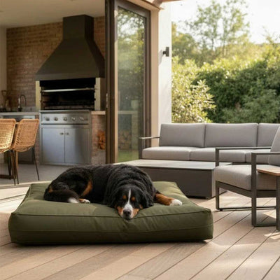 Cama Origen Impermeable Oliva