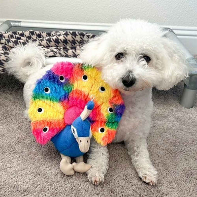 Pavo Real con sonido