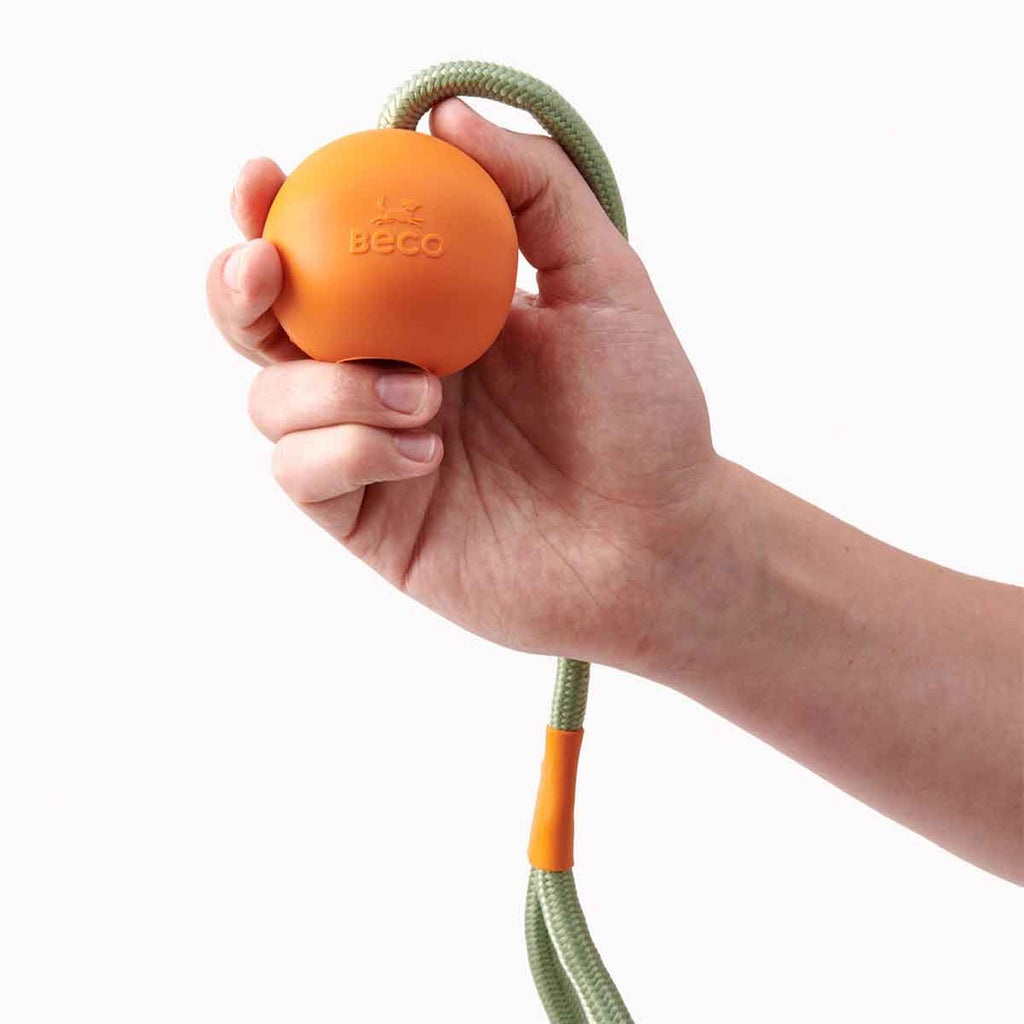 Pelota Lanzadora