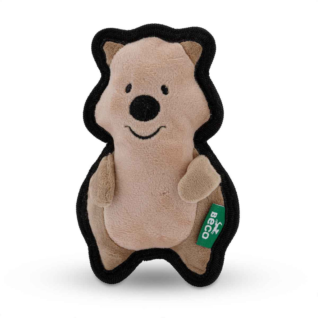 Quokka (perros pequeños)