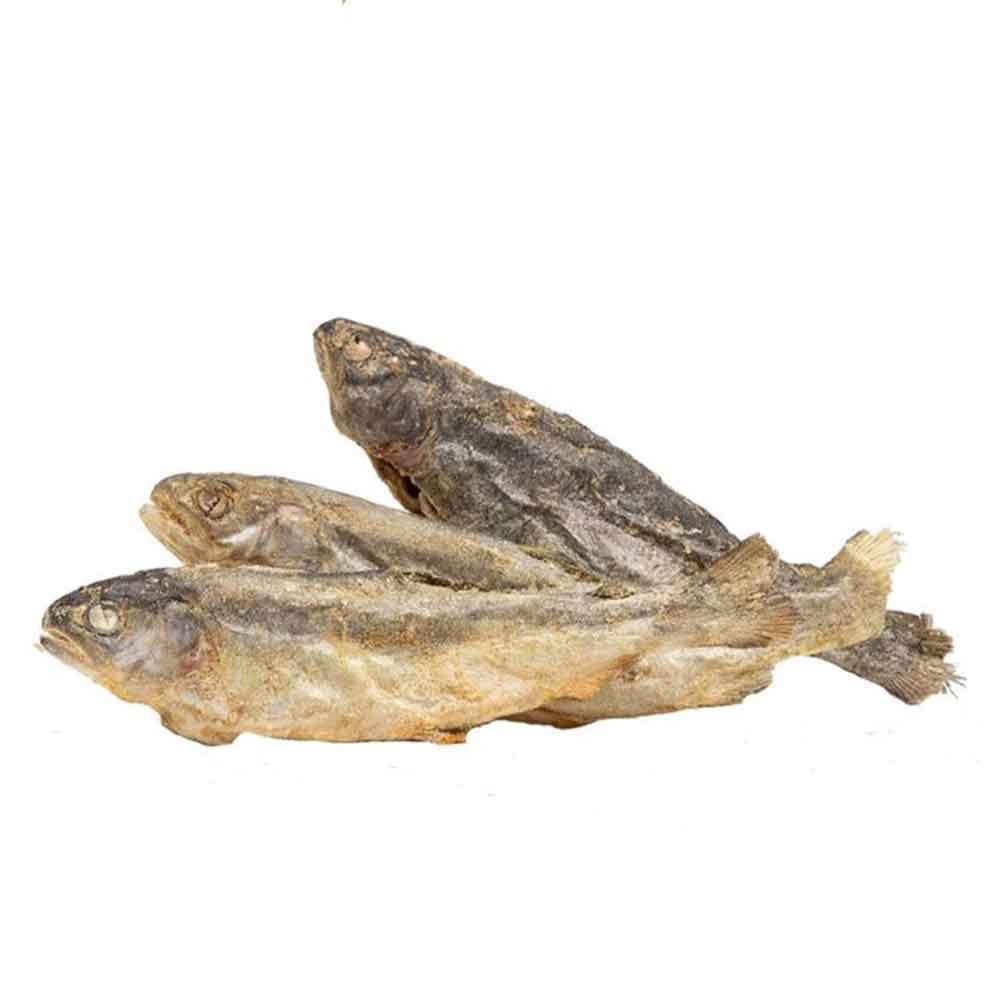 Snack Crudo Trucha Juvenil