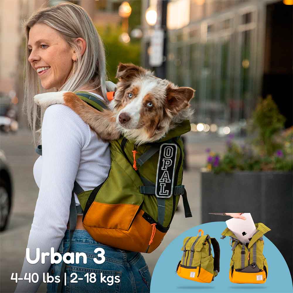 Urban 3/ Mochila Transportadora y tradicional