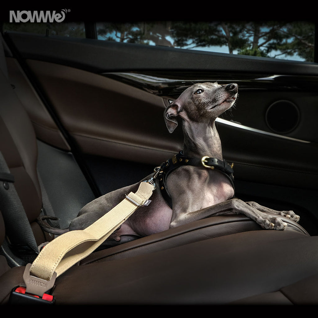 Cinturón de Seguridad Auto, Beige - Pet Vibes