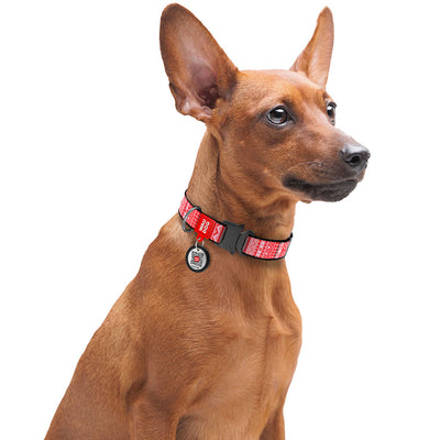 Collar ID Indie Red
