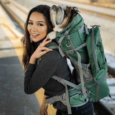 Kolossus Verde/ Mochila perros grandes y mochila para mochileros