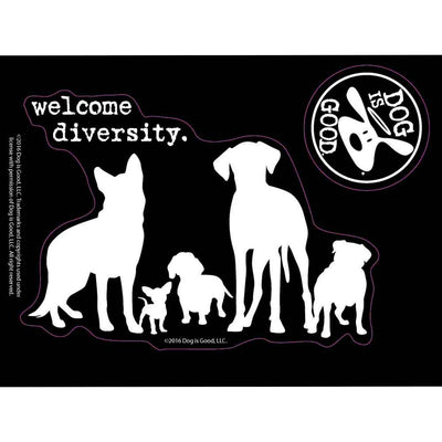 Bienvenida Diversidad- Sticker Auto